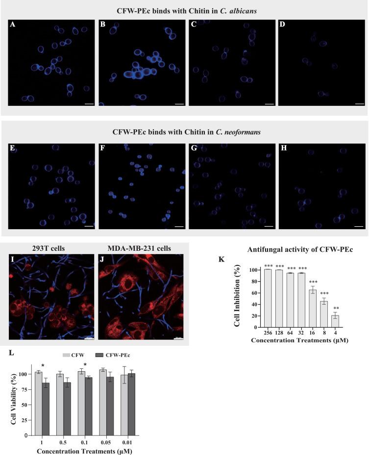 https://cdn.ncbi.nlm.nih.gov/pmc/blobs/19a1/11626965/27b9529d89c7/IJN-19-13047-g0003.jpg