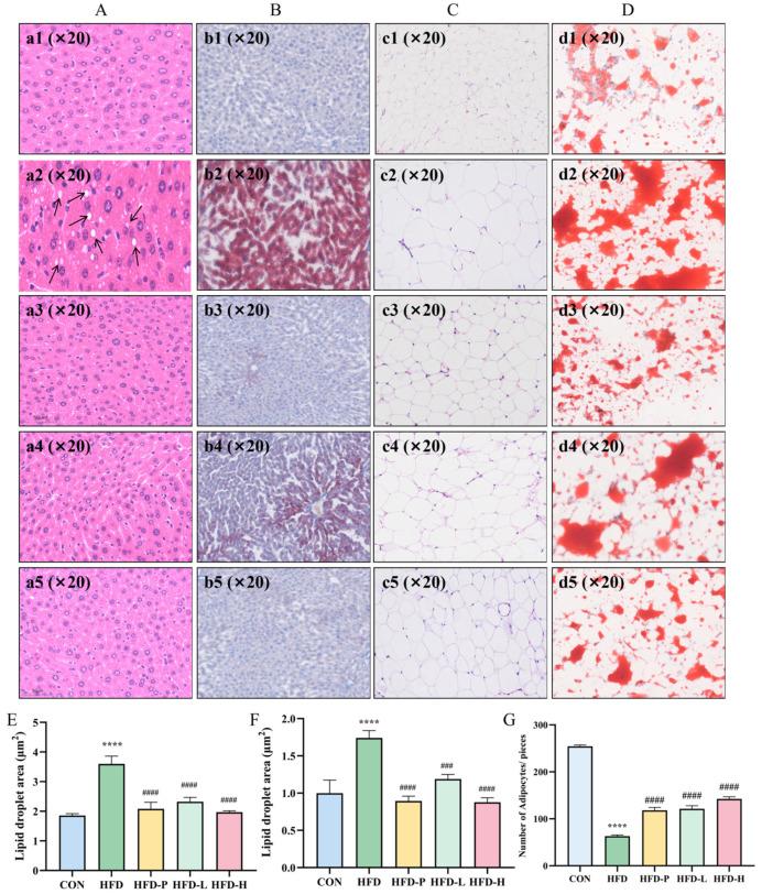 https://cdn.ncbi.nlm.nih.gov/pmc/blobs/19a1/11901460/0c1678edf534/molecules-30-01173-g008.jpg