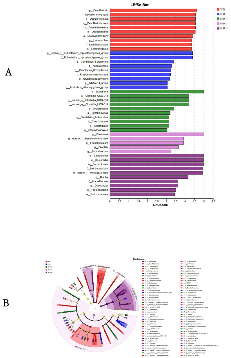 https://cdn.ncbi.nlm.nih.gov/pmc/blobs/19a1/11901460/950c8e7a185e/molecules-30-01173-g011.jpg