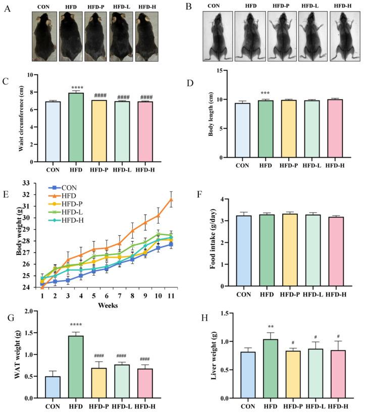https://cdn.ncbi.nlm.nih.gov/pmc/blobs/19a1/11901460/c91ae0669a6a/molecules-30-01173-g004.jpg