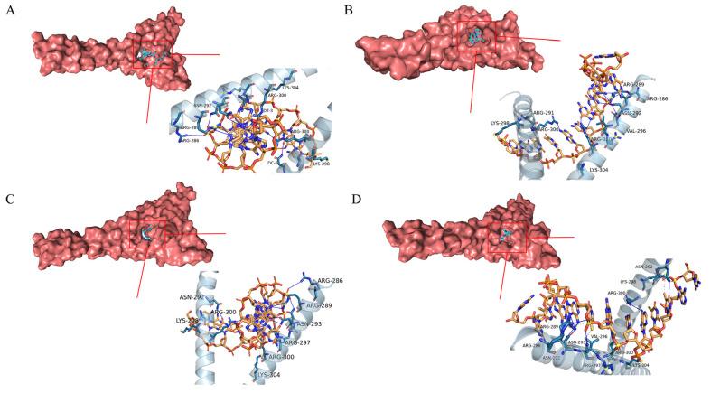 https://cdn.ncbi.nlm.nih.gov/pmc/blobs/19a1/11901460/d73d5815351c/molecules-30-01173-g014.jpg