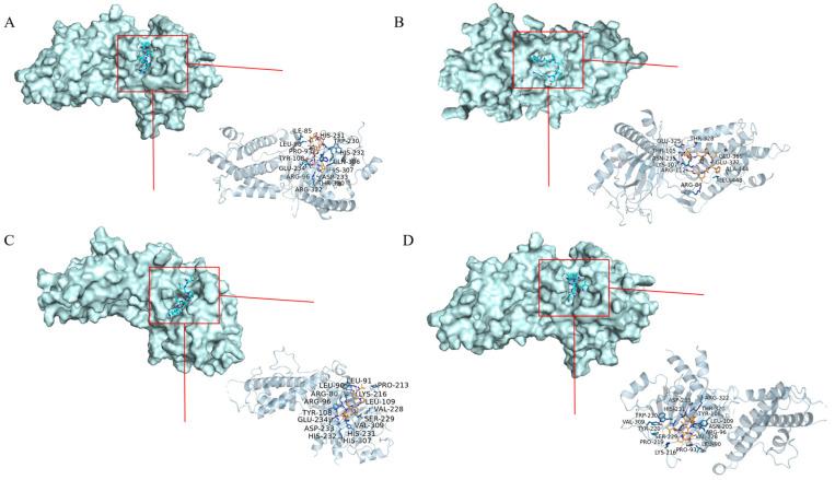 https://cdn.ncbi.nlm.nih.gov/pmc/blobs/19a1/11901460/fa4b4d4ade72/molecules-30-01173-g015.jpg
