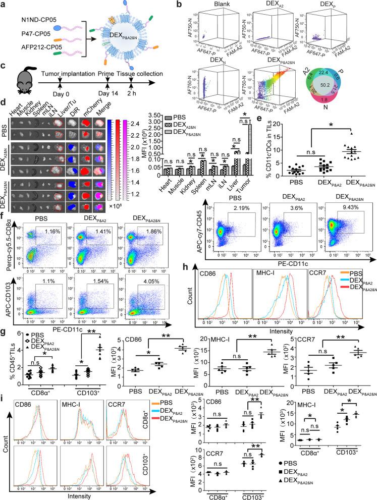 https://cdn.ncbi.nlm.nih.gov/pmc/blobs/19a1/9052531/6441e5a774dd/13045_2022_1266_Fig1_HTML.jpg