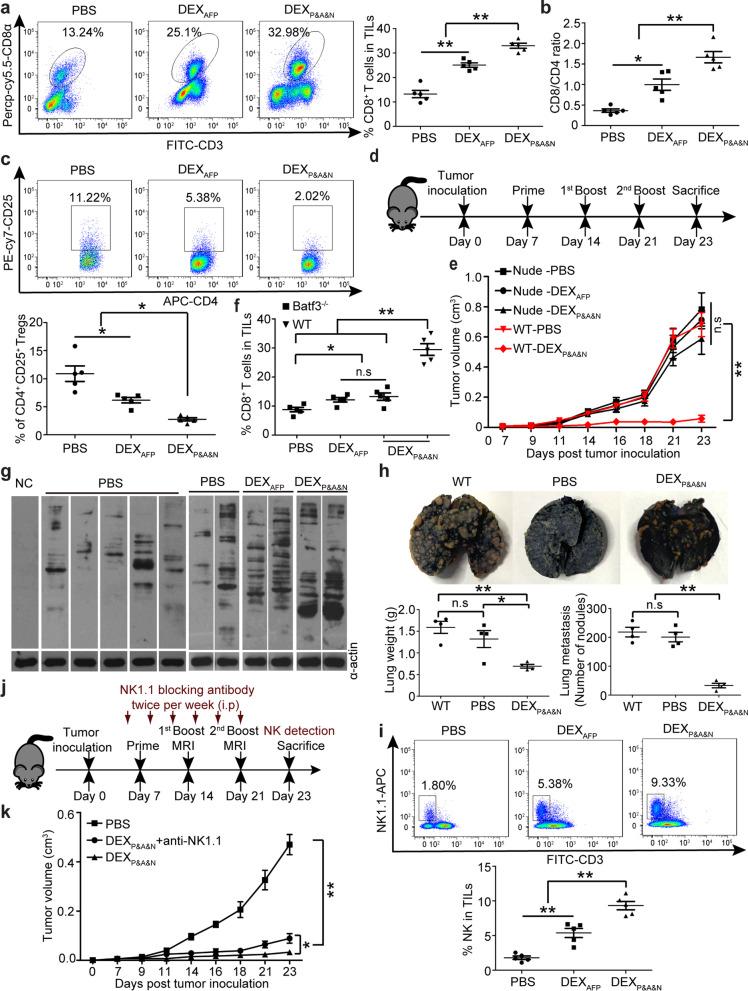 https://cdn.ncbi.nlm.nih.gov/pmc/blobs/19a1/9052531/812f751a72f8/13045_2022_1266_Fig5_HTML.jpg