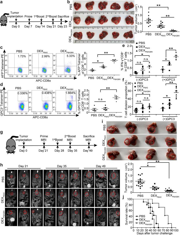 https://cdn.ncbi.nlm.nih.gov/pmc/blobs/19a1/9052531/8c19370a8926/13045_2022_1266_Fig3_HTML.jpg