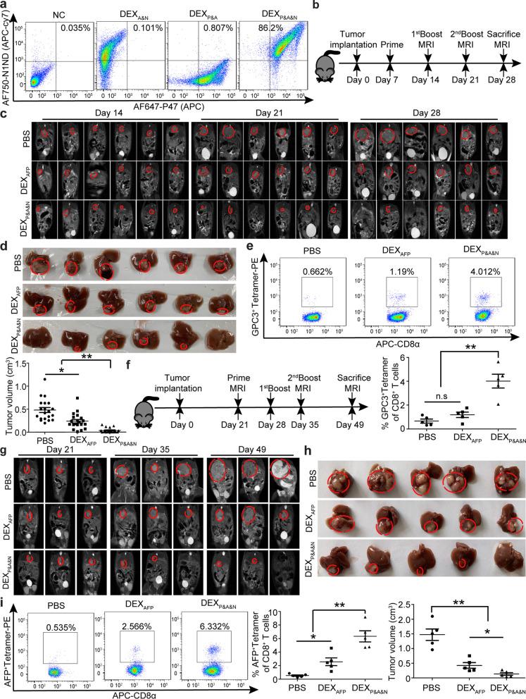 https://cdn.ncbi.nlm.nih.gov/pmc/blobs/19a1/9052531/a5532cae3b59/13045_2022_1266_Fig4_HTML.jpg
