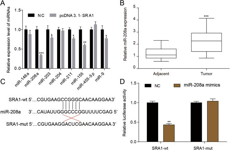 https://cdn.ncbi.nlm.nih.gov/pmc/blobs/19a3/6535715/43b6a7b506ad/10.1177_1533033819841438-fig5.jpg