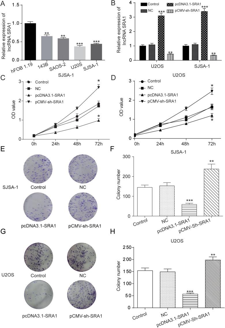 https://cdn.ncbi.nlm.nih.gov/pmc/blobs/19a3/6535715/44373025489b/10.1177_1533033819841438-fig2.jpg