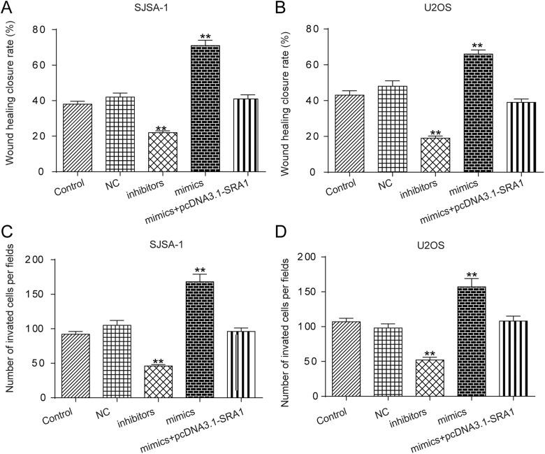 https://cdn.ncbi.nlm.nih.gov/pmc/blobs/19a3/6535715/d6ba9269fa10/10.1177_1533033819841438-fig7.jpg