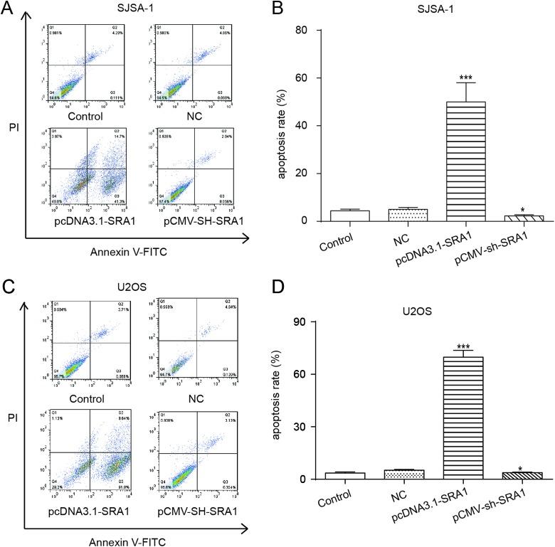 https://cdn.ncbi.nlm.nih.gov/pmc/blobs/19a3/6535715/e1e17ac762d3/10.1177_1533033819841438-fig4.jpg