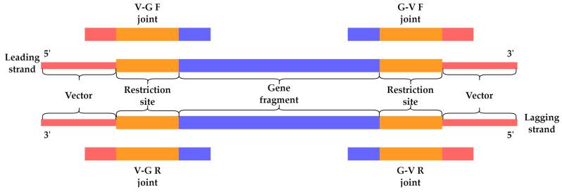 https://cdn.ncbi.nlm.nih.gov/pmc/blobs/19a4/10376165/1b6de9e308ca/antibiotics-12-01213-g007.jpg