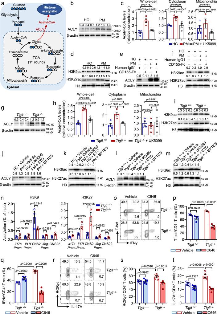 https://cdn.ncbi.nlm.nih.gov/pmc/blobs/19a5/12081758/1f29a6d931c1/41467_2025_59786_Fig7_HTML.jpg