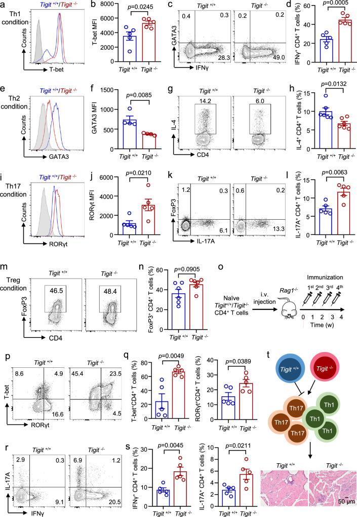 https://cdn.ncbi.nlm.nih.gov/pmc/blobs/19a5/12081758/584fc043b788/41467_2025_59786_Fig4_HTML.jpg