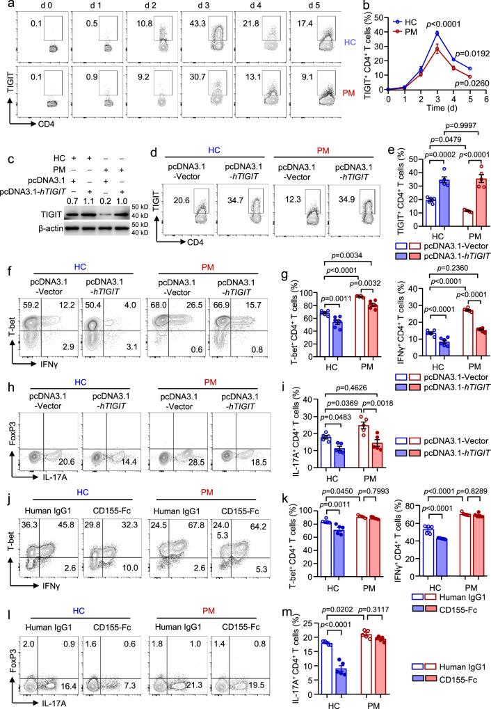 https://cdn.ncbi.nlm.nih.gov/pmc/blobs/19a5/12081758/986d97c9166e/41467_2025_59786_Fig2_HTML.jpg