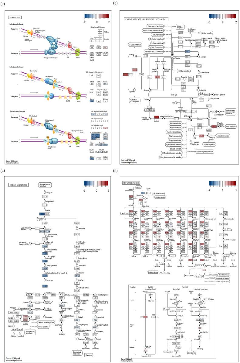 https://cdn.ncbi.nlm.nih.gov/pmc/blobs/19a5/9579409/6bfc8420a413/gr5.jpg