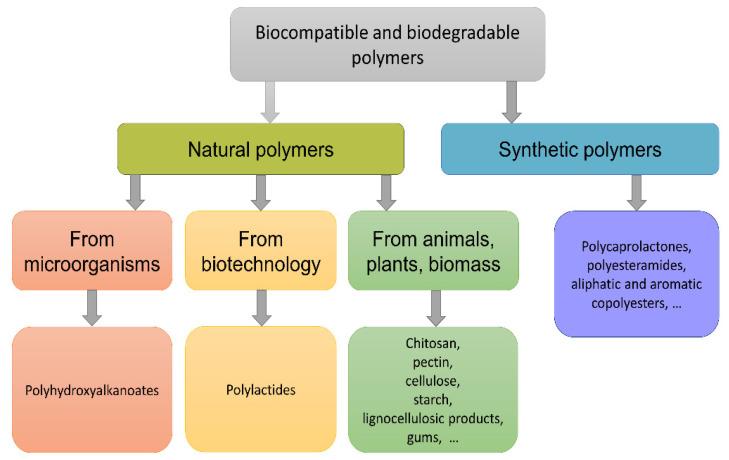https://cdn.ncbi.nlm.nih.gov/pmc/blobs/19a5/9782520/216f3f4d07a3/polymers-14-05549-g001.jpg