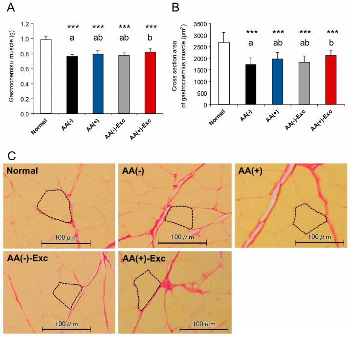https://cdn.ncbi.nlm.nih.gov/pmc/blobs/19a7/11054099/8aff11f67aff/nutrients-16-01218-g002.jpg