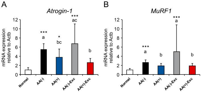 https://cdn.ncbi.nlm.nih.gov/pmc/blobs/19a7/11054099/8e4f44e9ef40/nutrients-16-01218-g004.jpg