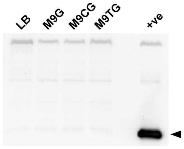 https://cdn.ncbi.nlm.nih.gov/pmc/blobs/19a7/3795662/1c663d4b4390/pone.0076767.g008.jpg
