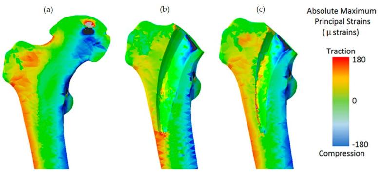 https://cdn.ncbi.nlm.nih.gov/pmc/blobs/19a7/9917976/838d95cb66a6/materials-16-00974-g003.jpg