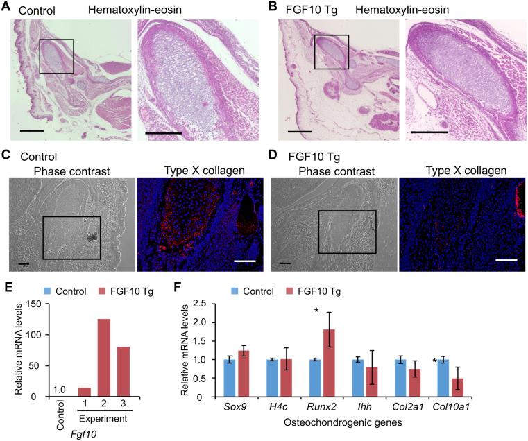 https://cdn.ncbi.nlm.nih.gov/pmc/blobs/19a9/10236464/a29686212a4e/gr4.jpg