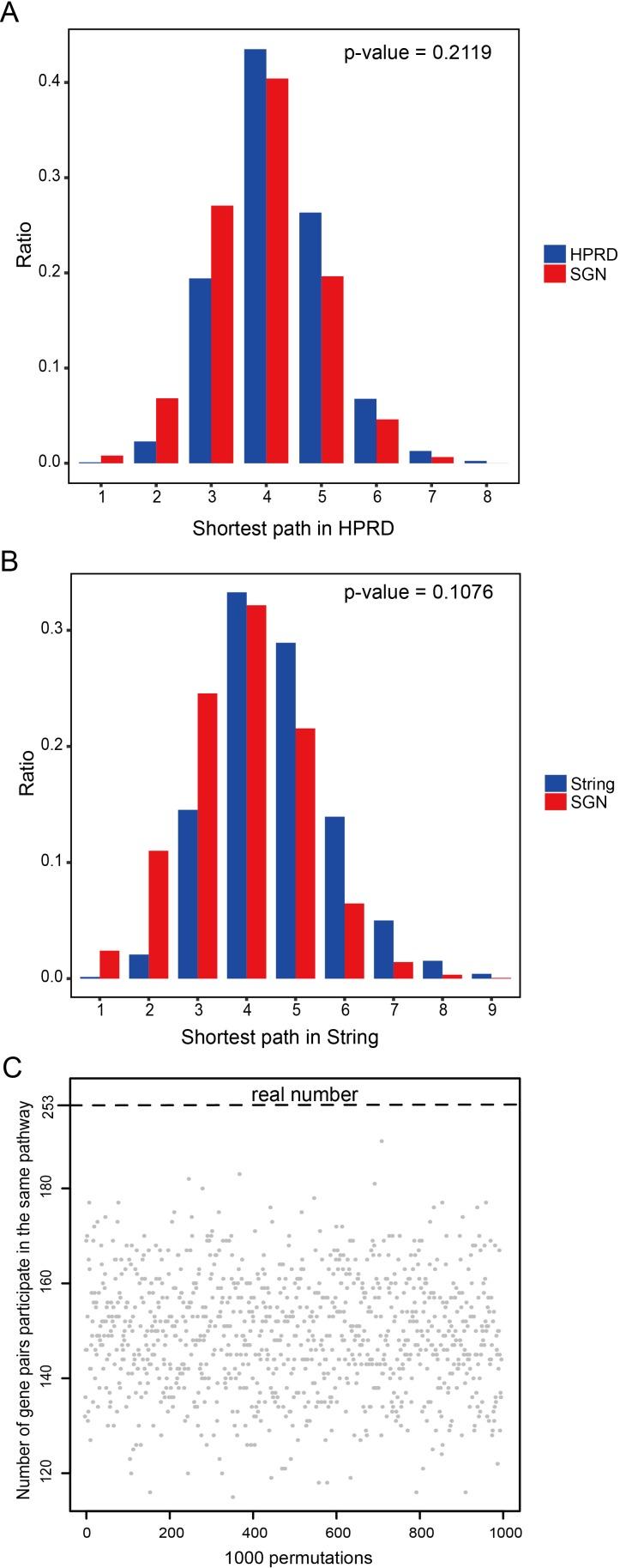 https://cdn.ncbi.nlm.nih.gov/pmc/blobs/19a9/5790461/62e343c6dc66/oncotarget-09-3254-g004.jpg
