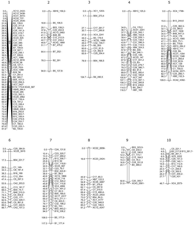 https://cdn.ncbi.nlm.nih.gov/pmc/blobs/19a9/8537111/78b164eabebb/plants-10-02100-g006.jpg