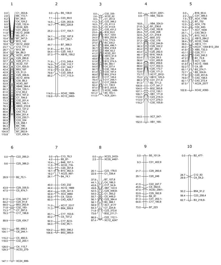 https://cdn.ncbi.nlm.nih.gov/pmc/blobs/19a9/8537111/fc89eff73427/plants-10-02100-g005.jpg
