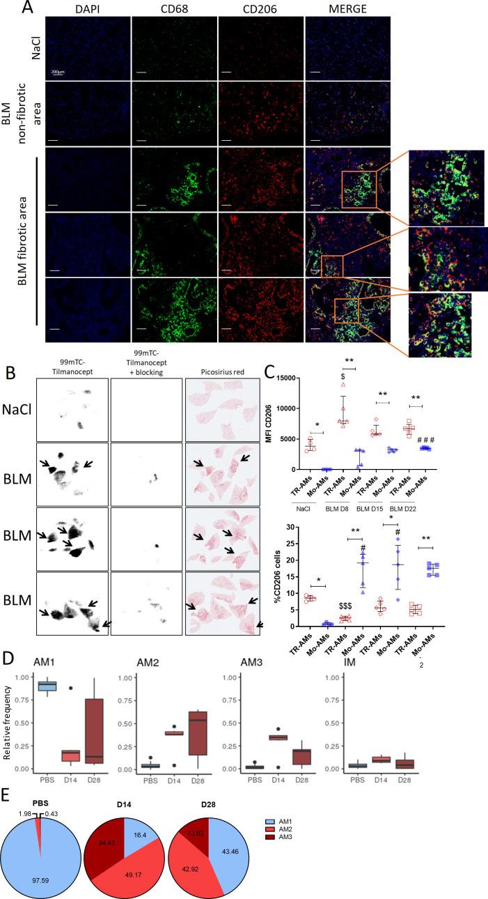 https://cdn.ncbi.nlm.nih.gov/pmc/blobs/19ab/11672011/5fe24d95de16/thorax-79-12-g001.jpg