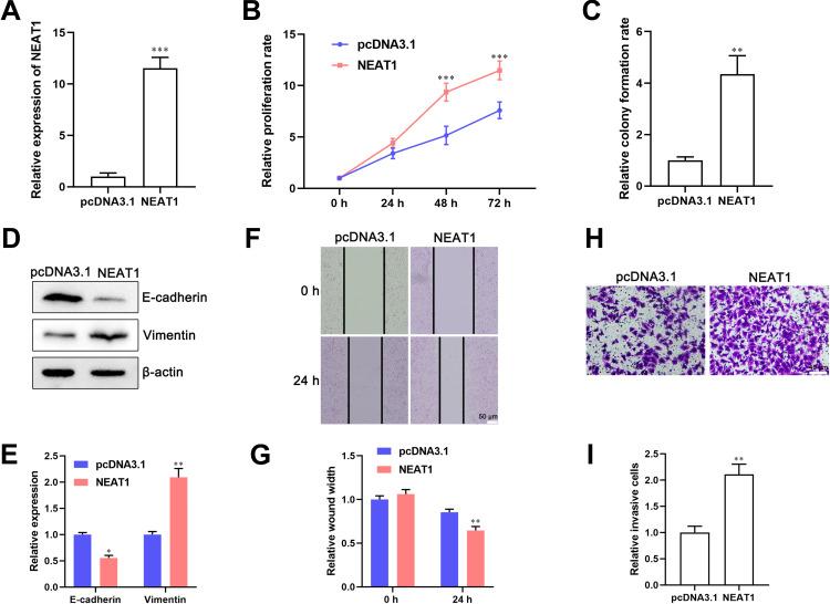 https://cdn.ncbi.nlm.nih.gov/pmc/blobs/19ab/7382757/31a26859a892/CMAR-12-6091-g0003.jpg