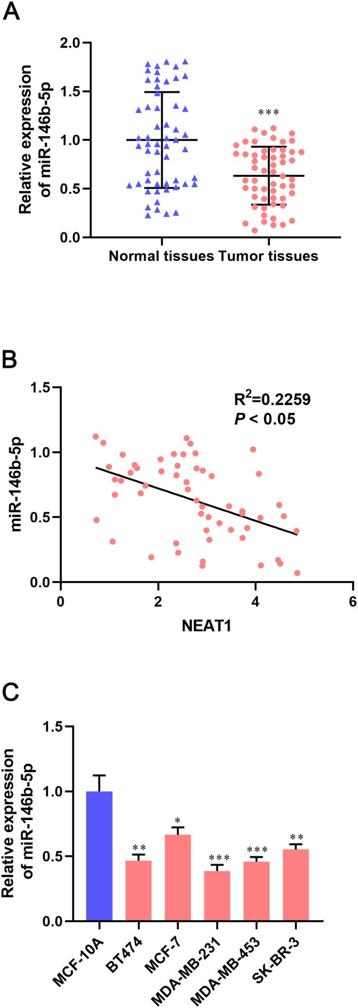 https://cdn.ncbi.nlm.nih.gov/pmc/blobs/19ab/7382757/7ca9dcd9feb0/CMAR-12-6091-g0005.jpg