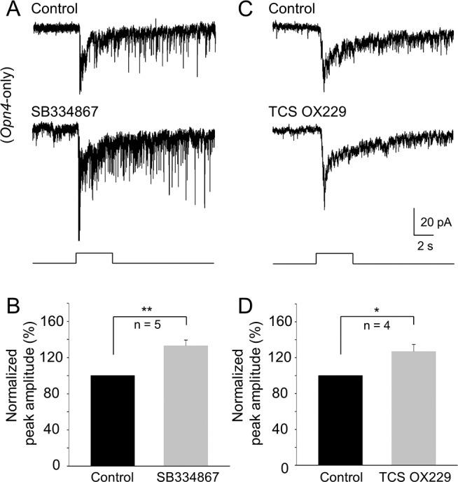 https://cdn.ncbi.nlm.nih.gov/pmc/blobs/19ad/5598320/5d961fa21403/i1552-5783-58-11-4712-f04.jpg