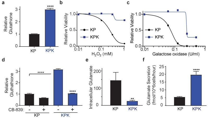 https://cdn.ncbi.nlm.nih.gov/pmc/blobs/19ad/5624783/071f8866a4f9/elife-28083-fig1.jpg