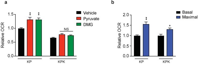 https://cdn.ncbi.nlm.nih.gov/pmc/blobs/19ad/5624783/4f33443a5cc7/elife-28083-fig3-figsupp3.jpg