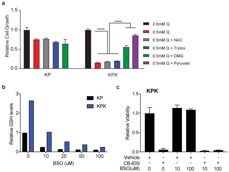 https://cdn.ncbi.nlm.nih.gov/pmc/blobs/19ad/5624783/77d2ef6e387d/elife-28083-fig3-figsupp1.jpg