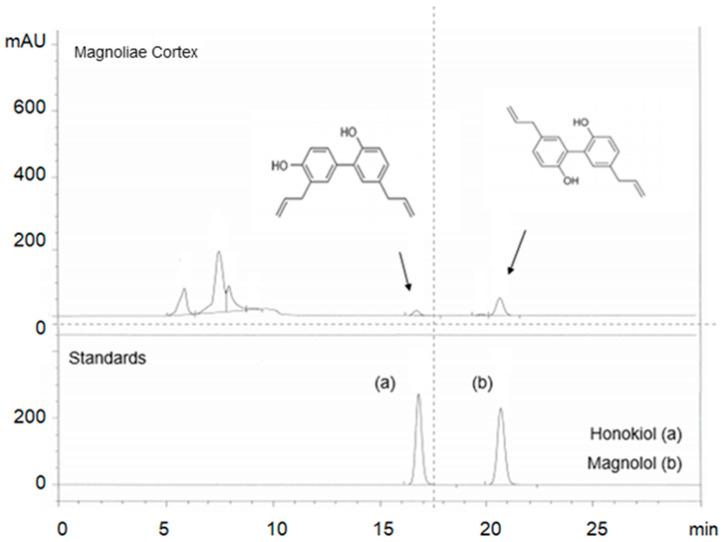 https://cdn.ncbi.nlm.nih.gov/pmc/blobs/19ae/8003985/1eb5ccd24ab5/ijms-22-03188-g001.jpg
