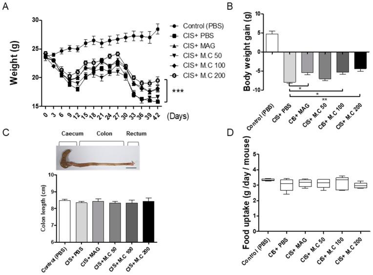 https://cdn.ncbi.nlm.nih.gov/pmc/blobs/19ae/8003985/8fabb4634033/ijms-22-03188-g002.jpg