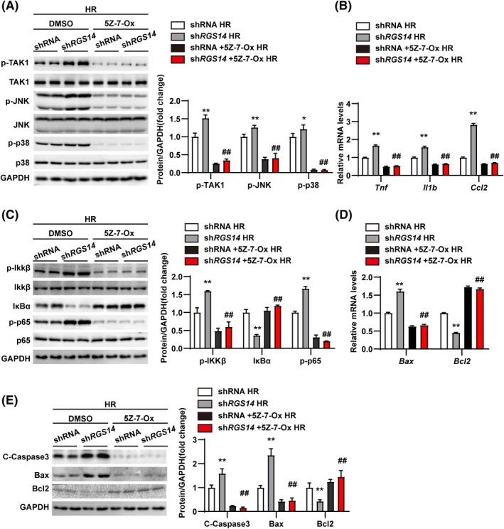 https://cdn.ncbi.nlm.nih.gov/pmc/blobs/19ae/9300117/7b3e96244173/HEP-75-338-g004.jpg