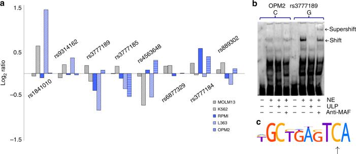 https://cdn.ncbi.nlm.nih.gov/pmc/blobs/19af/5917026/8b962557976f/41467_2018_4082_Fig3_HTML.jpg