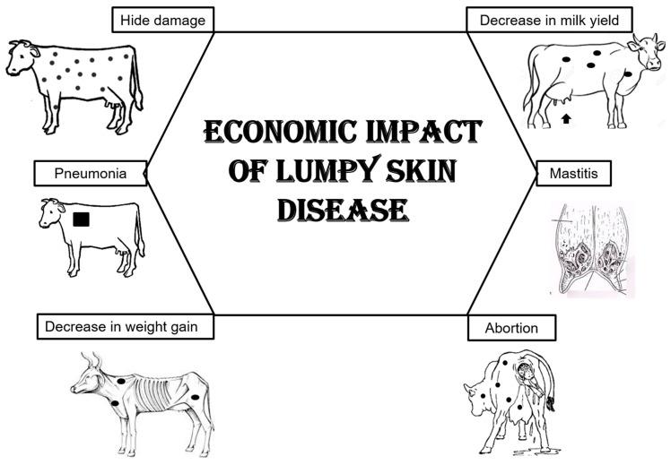 https://cdn.ncbi.nlm.nih.gov/pmc/blobs/19b2/11512213/f69a995c2a7a/viruses-16-01536-g005.jpg