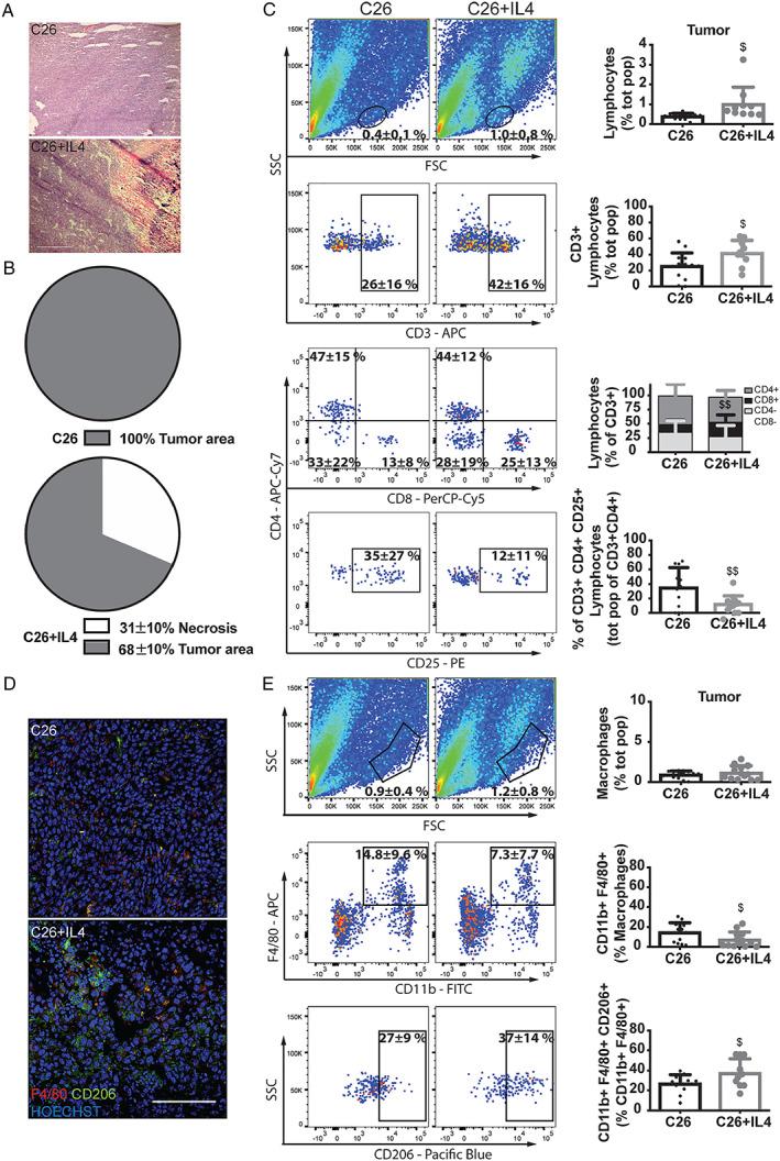 https://cdn.ncbi.nlm.nih.gov/pmc/blobs/19bc/7296260/a9e907e15eee/JCSM-11-783-g003.jpg