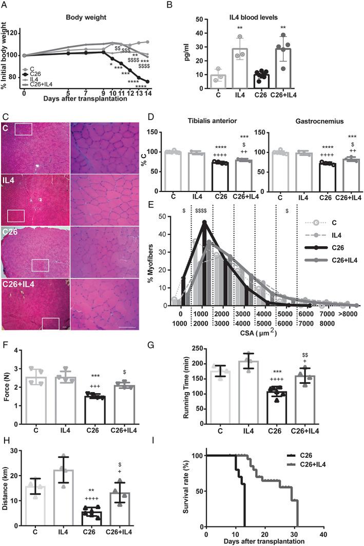 https://cdn.ncbi.nlm.nih.gov/pmc/blobs/19bc/7296260/e072f907eddc/JCSM-11-783-g002.jpg