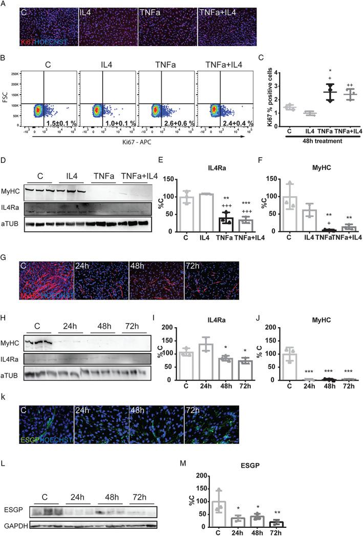 https://cdn.ncbi.nlm.nih.gov/pmc/blobs/19bc/7296260/f1718dedece8/JCSM-11-783-g007.jpg