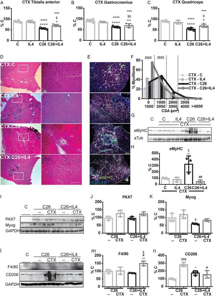 https://cdn.ncbi.nlm.nih.gov/pmc/blobs/19bc/7296260/f69c1439be0c/JCSM-11-783-g006.jpg
