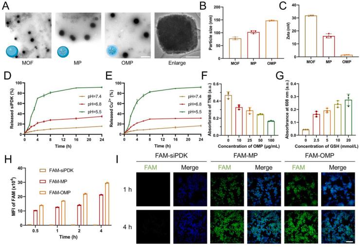 https://cdn.ncbi.nlm.nih.gov/pmc/blobs/19be/11119570/90088ccf340e/gr2.jpg