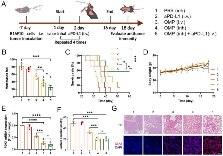 https://cdn.ncbi.nlm.nih.gov/pmc/blobs/19be/11119570/ac5430763096/gr6.jpg