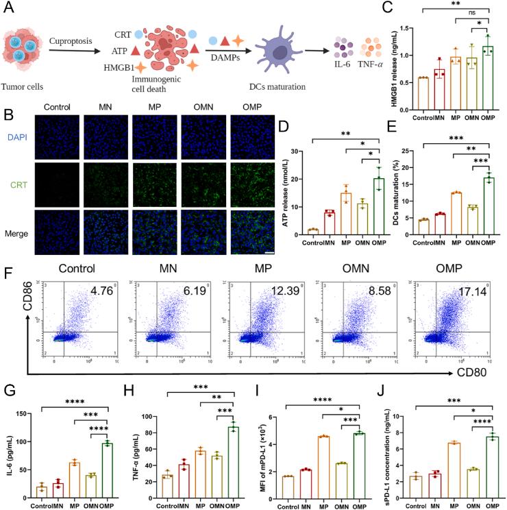 https://cdn.ncbi.nlm.nih.gov/pmc/blobs/19be/11119570/cdb30c9d4bbd/gr4.jpg