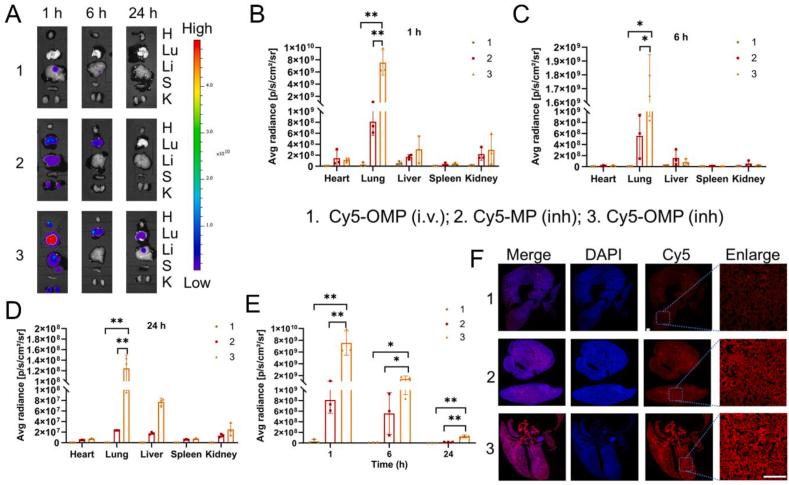 https://cdn.ncbi.nlm.nih.gov/pmc/blobs/19be/11119570/e7bf8b8ba76b/gr5.jpg