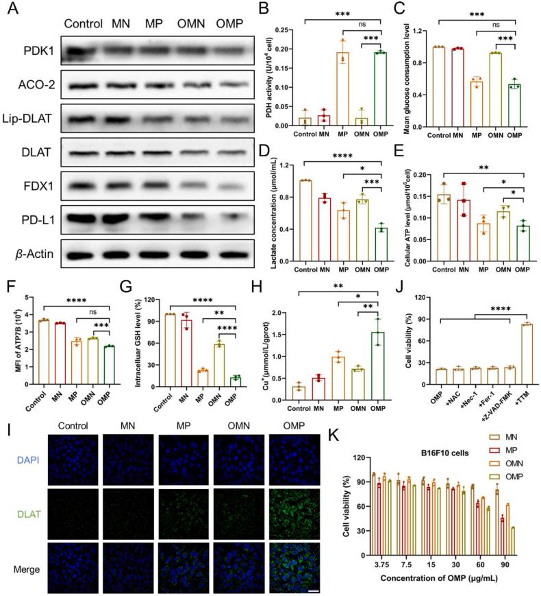 https://cdn.ncbi.nlm.nih.gov/pmc/blobs/19be/11119570/fa1e754e1fa1/gr3.jpg