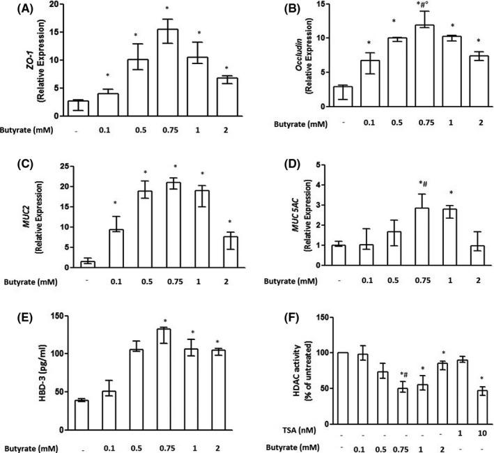 https://cdn.ncbi.nlm.nih.gov/pmc/blobs/19be/8247419/0964b89bdff1/ALL-76-1398-g006.jpg